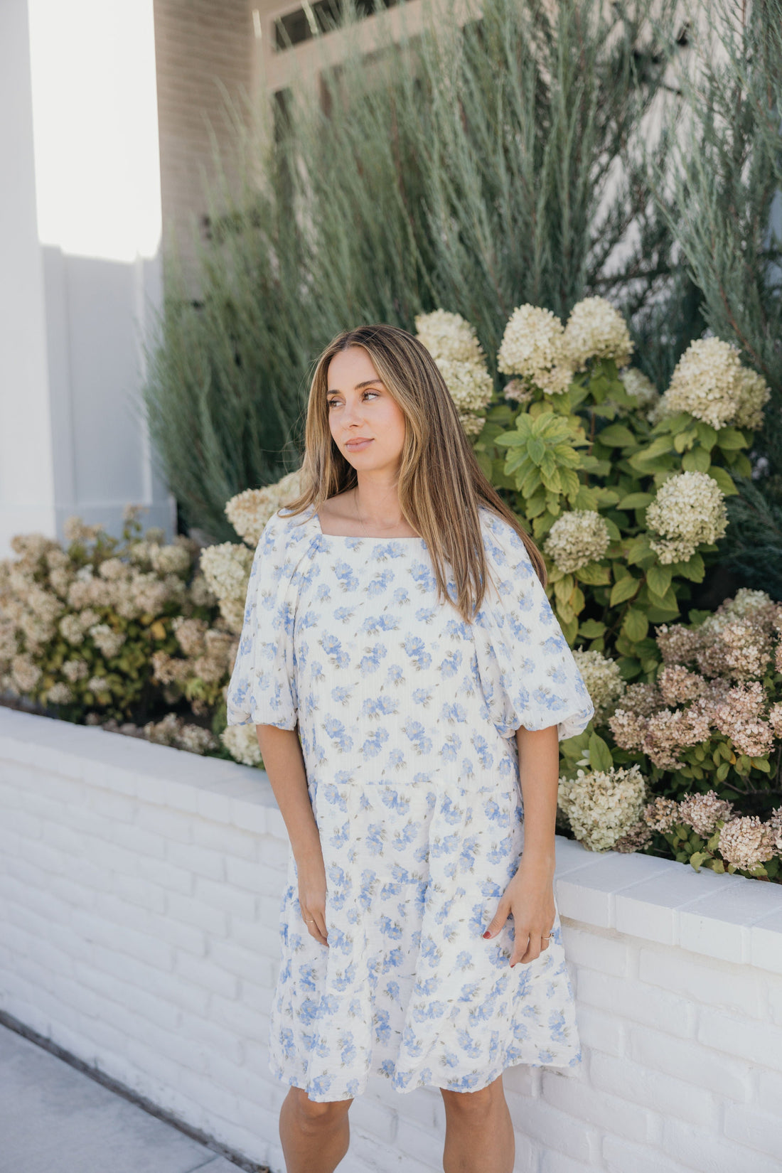 THE CLOVE IN CORNFLOWER DREAM FINAL SALE