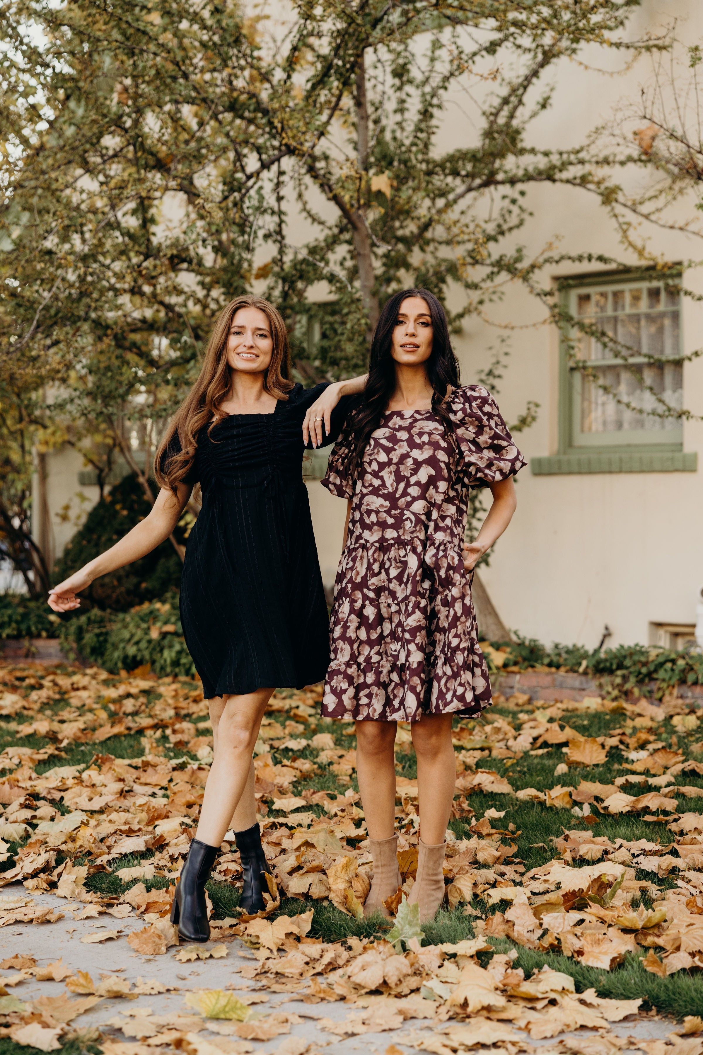 THE CLOVE IN MOSAIC MEADOW CLEARANCE