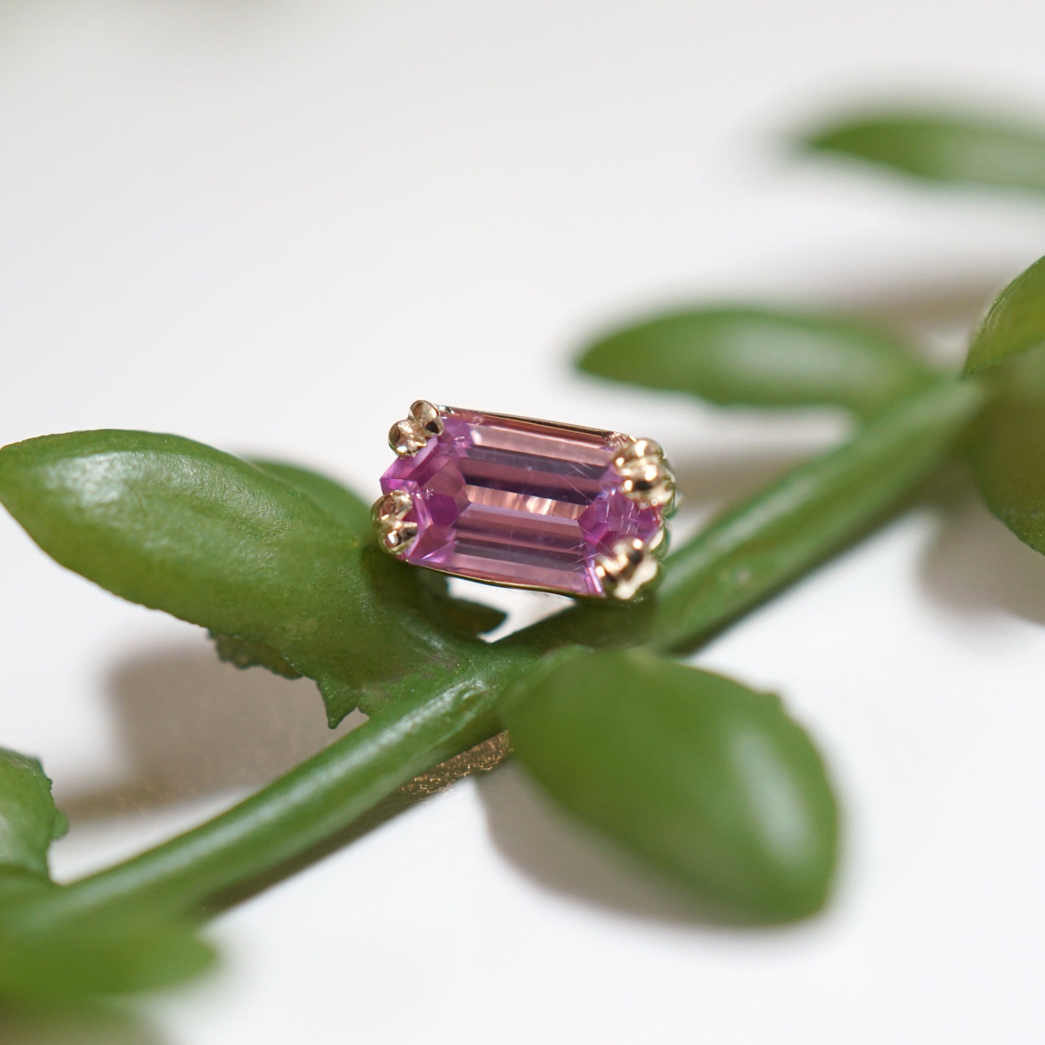 LE 2025 Double Claw Set Elongated Hexagon Sapphire YG