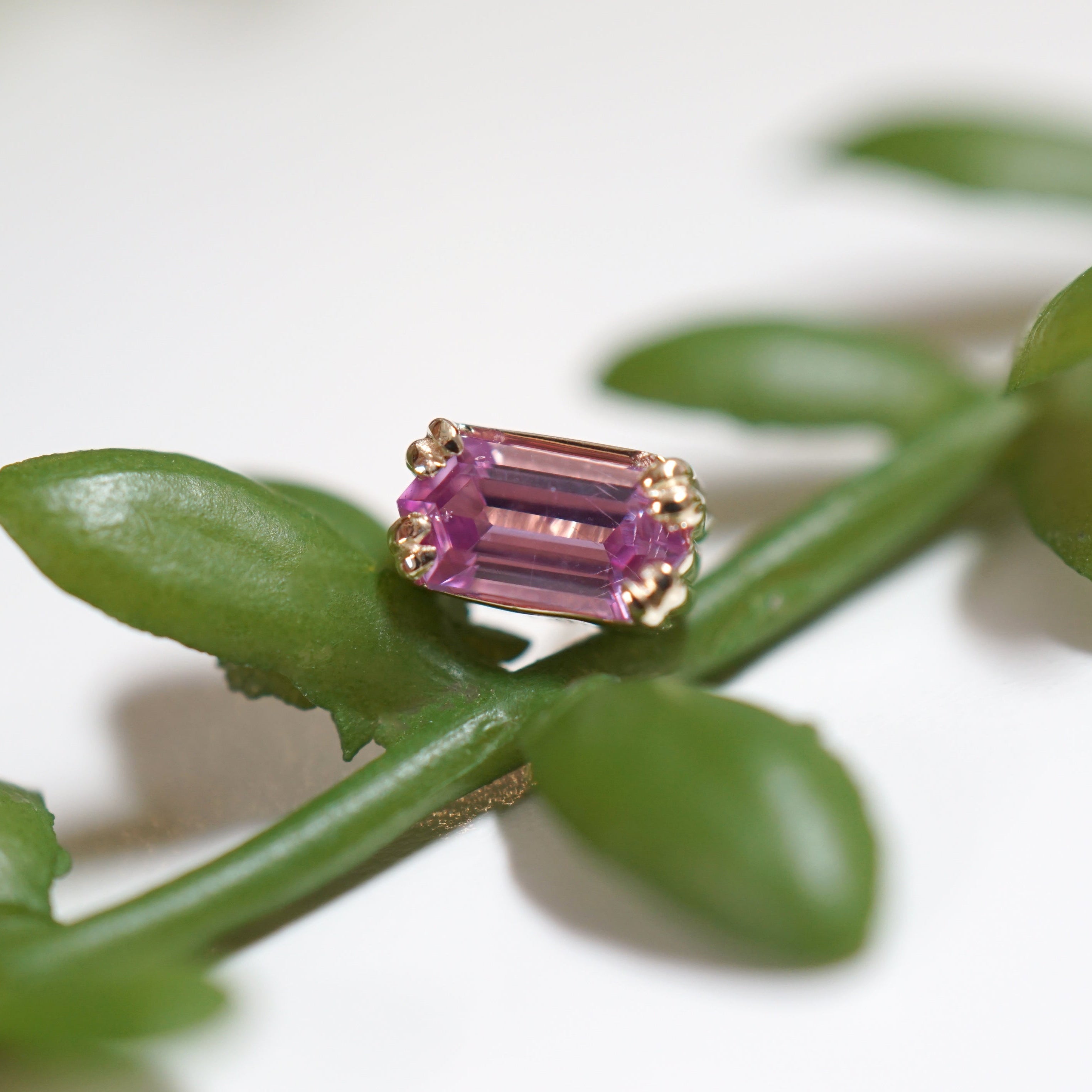 LE 2025 Double Claw Set Elongated Hexagon Sapphire YG