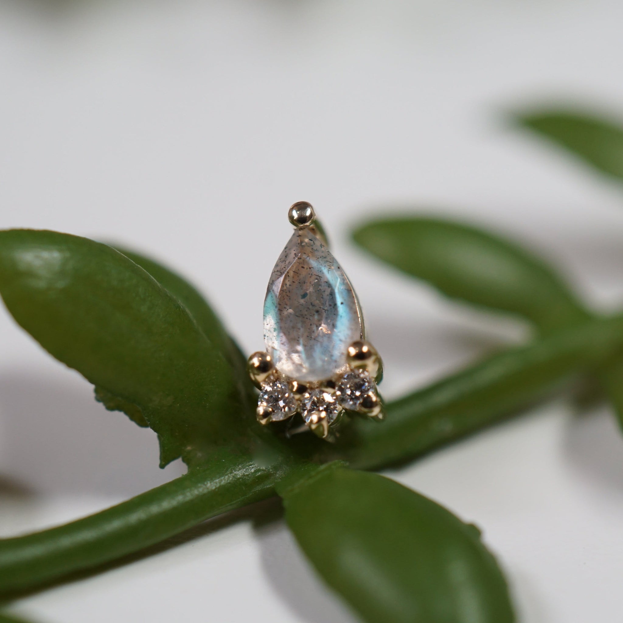 LE 2025 Leia Faceted Pear Labradorite