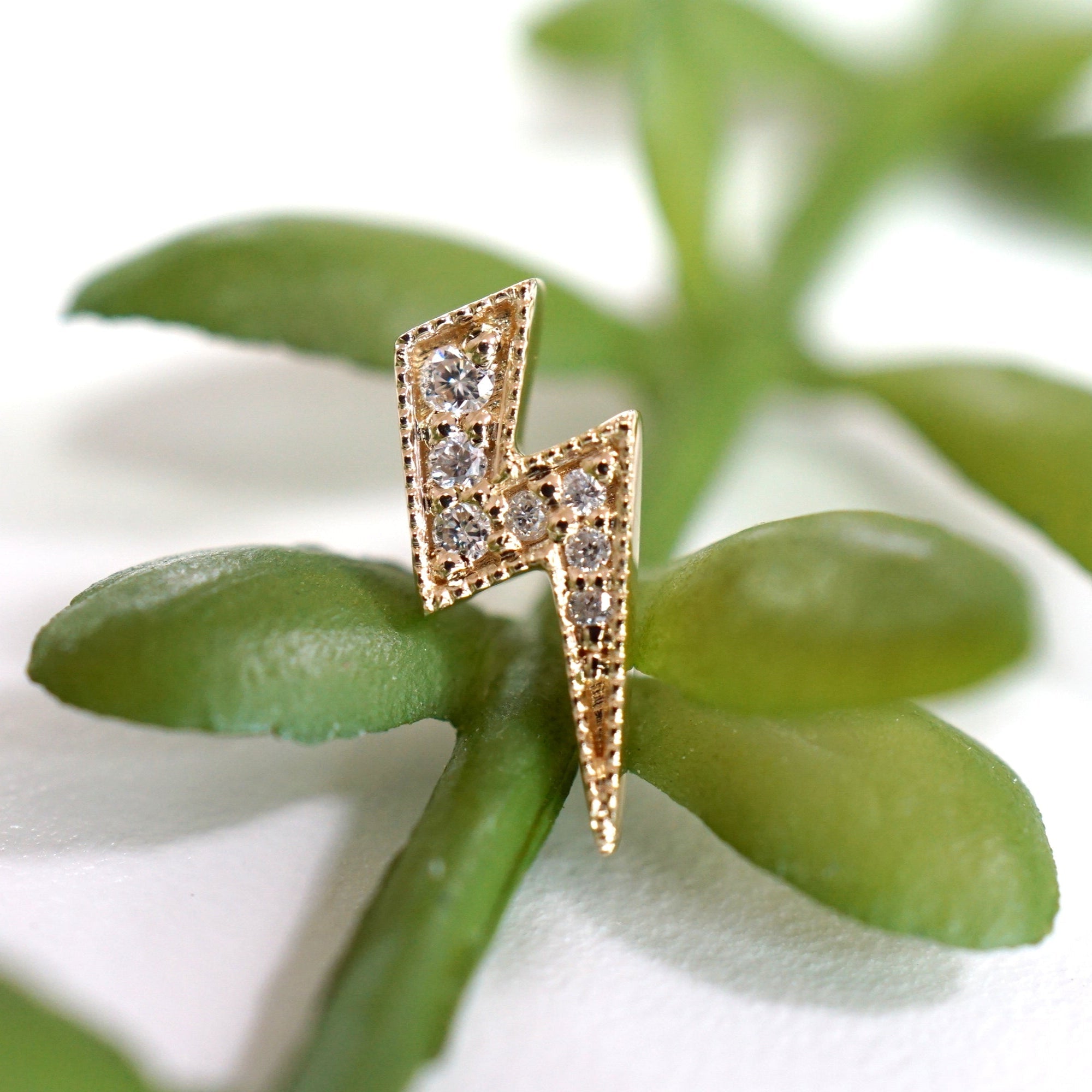 Lightning Bolt - Ricky