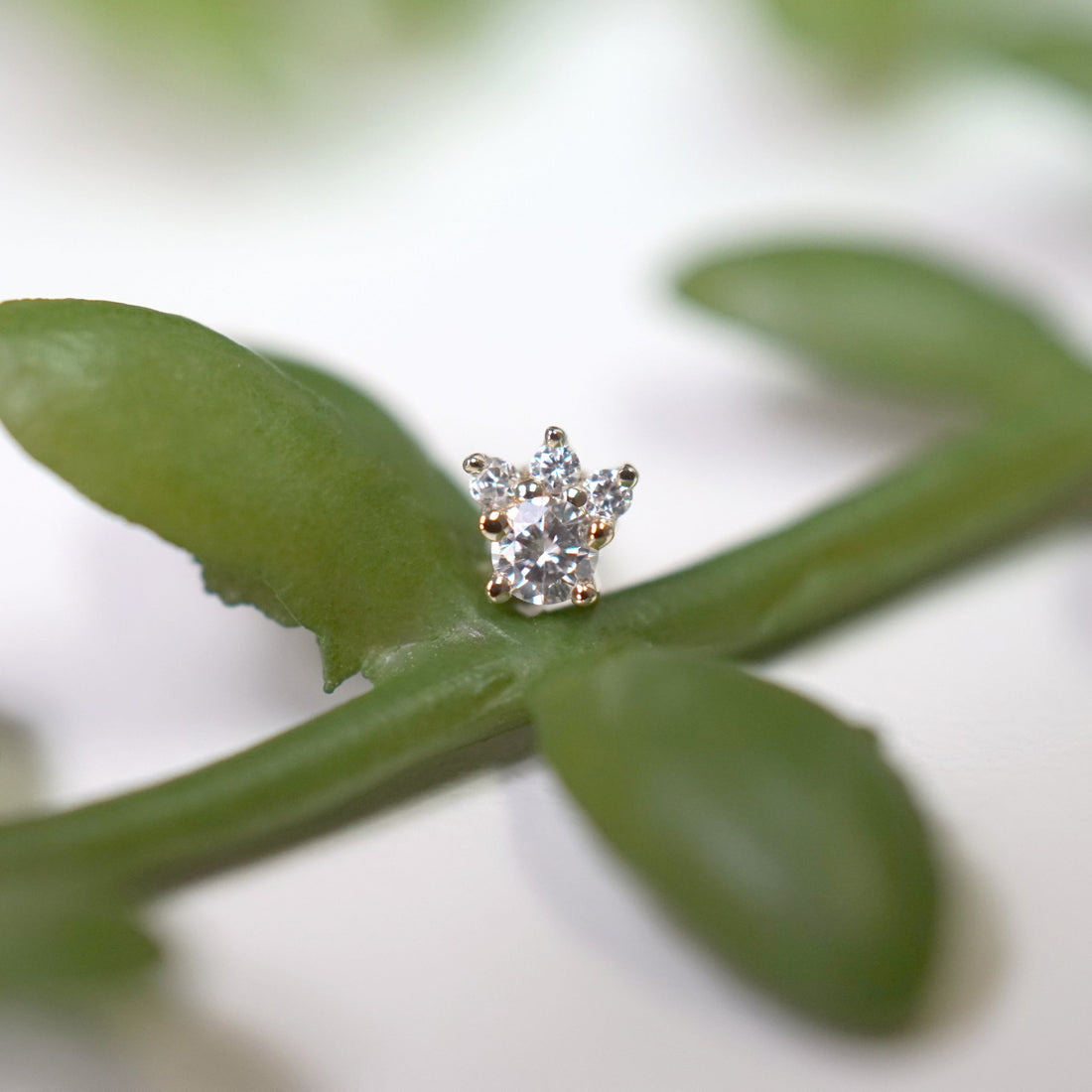 Leia Mini - All Diamond