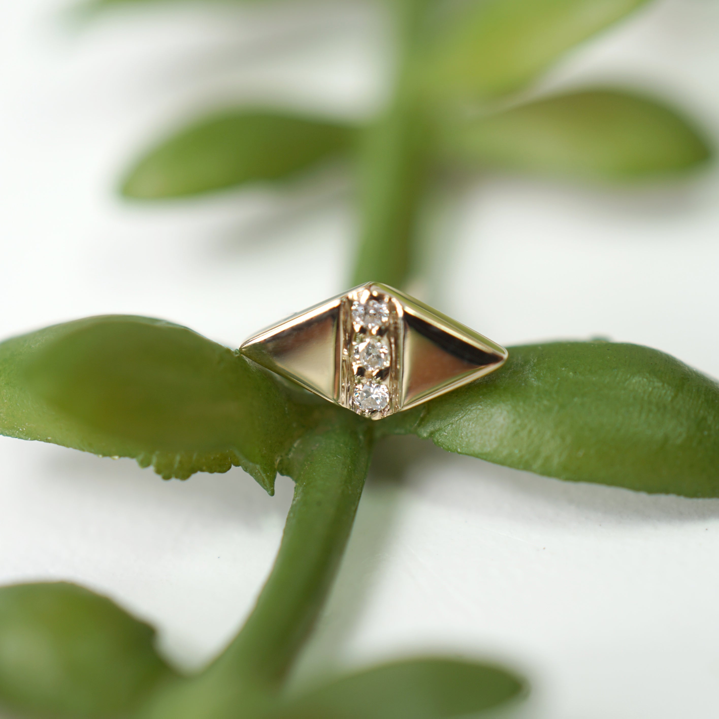 Rhombus - Venus Mini