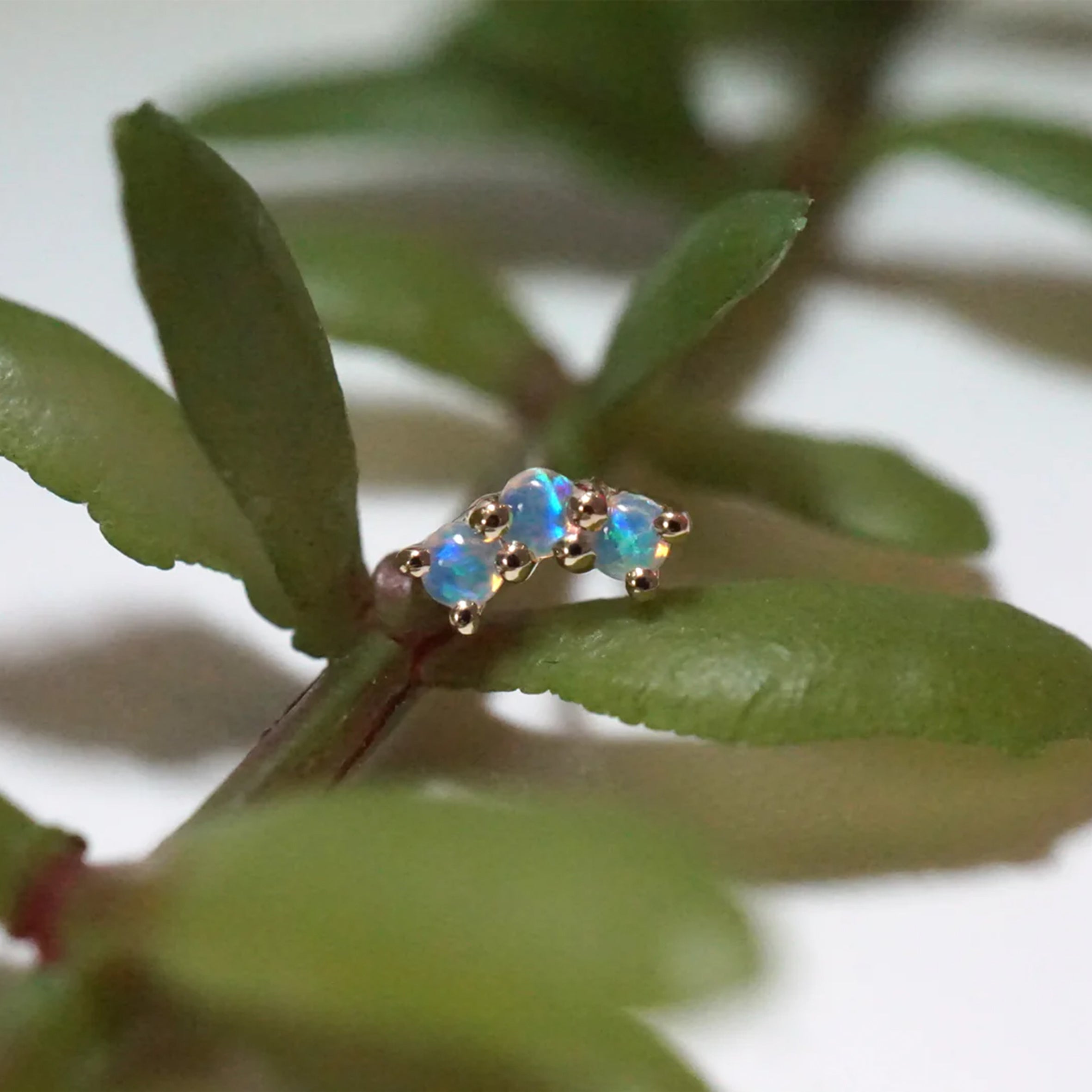 Arch - Delphine - Curved 3 Cabochon