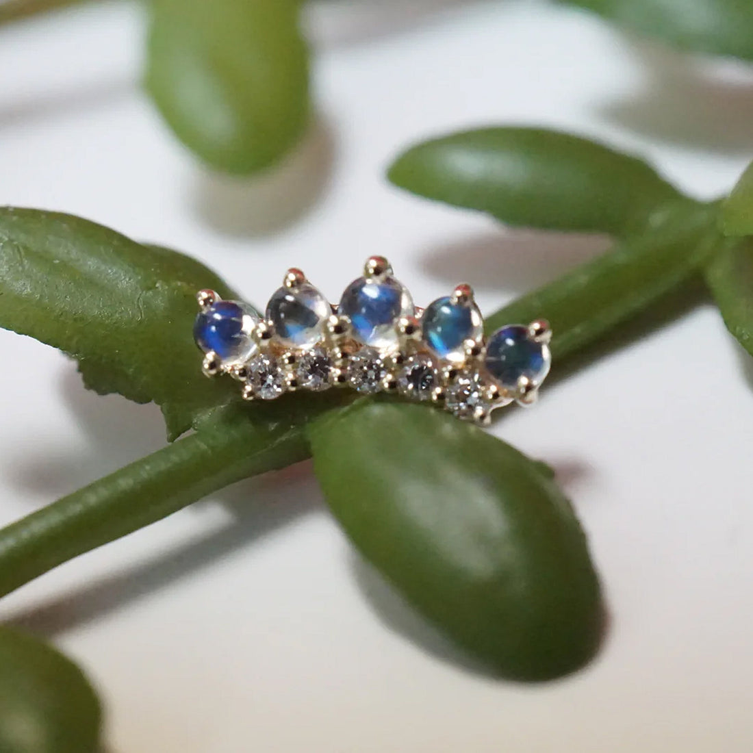 Arch - Double Row Annette