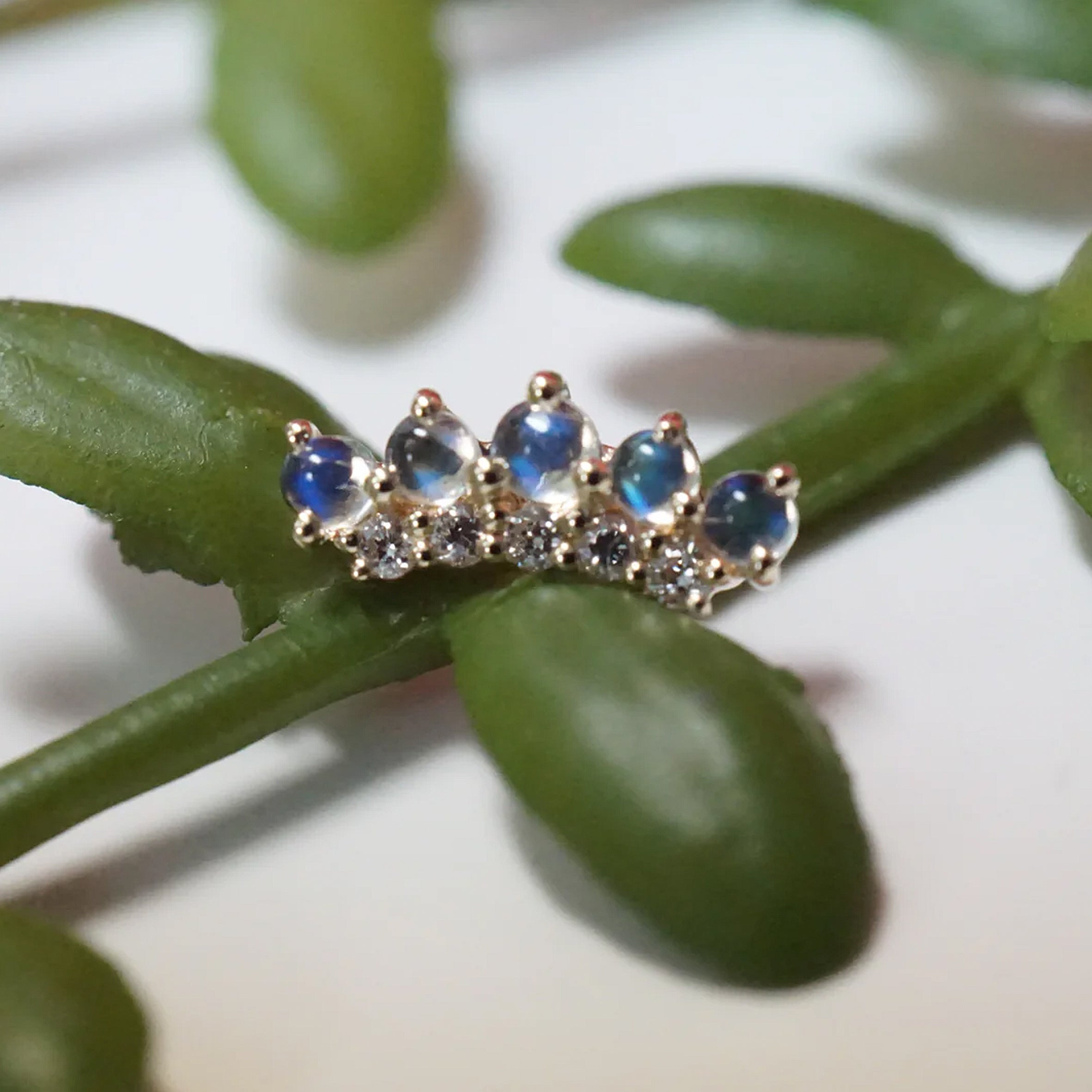 Arch - Double Row Annette